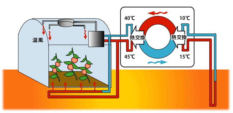 ビニールハウスでの地中熱ヒートポンプによる暖房栽培（概念図）